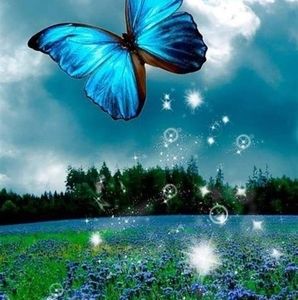 Meet your Posher, Tamara